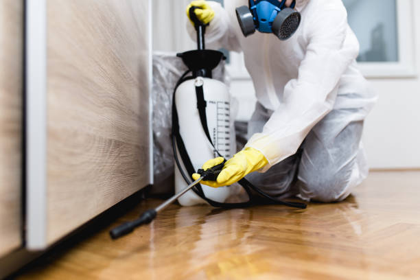 Best Affordable Pest Control Services  in Holly Hills, CO