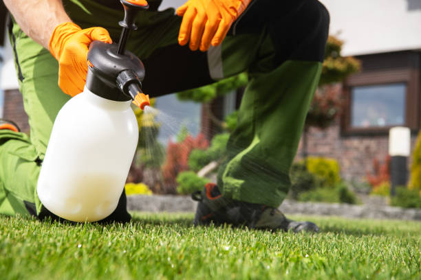 Best Local Pest Control Services  in Holly Hills, CO