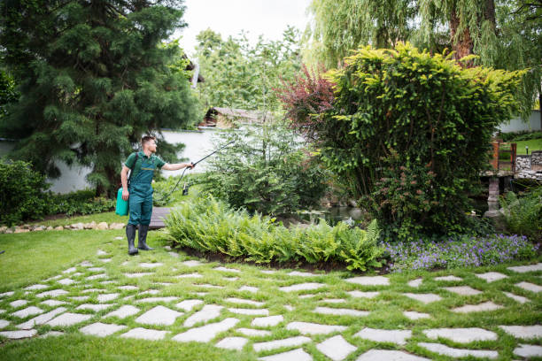 Best Exterminator Services  in Holly Hills, CO