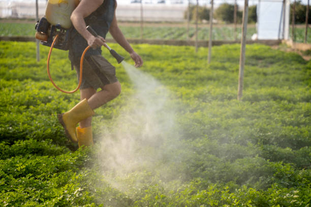 Pest Control for Restaurants in Holly Hills, CO