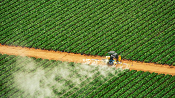 Best Pest Control for Businesses  in Holly Hills, CO