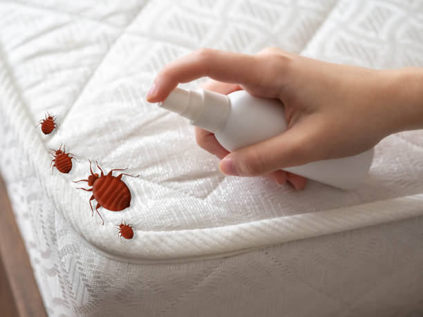 Pest Control Cost in Holly Hills, CO