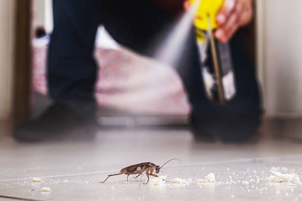 Best Best Pest Control Companies  in Holly Hills, CO