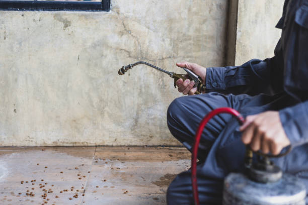 Best Cockroach Control Services  in Holly Hills, CO